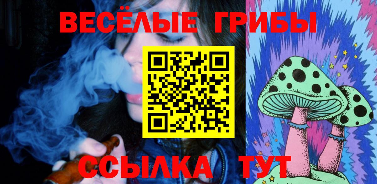 Псилоцибиновые грибы мицелий Екатеринбург